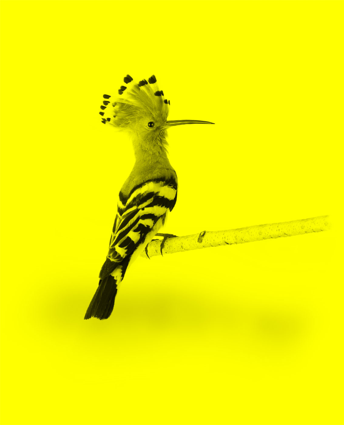 Antworten